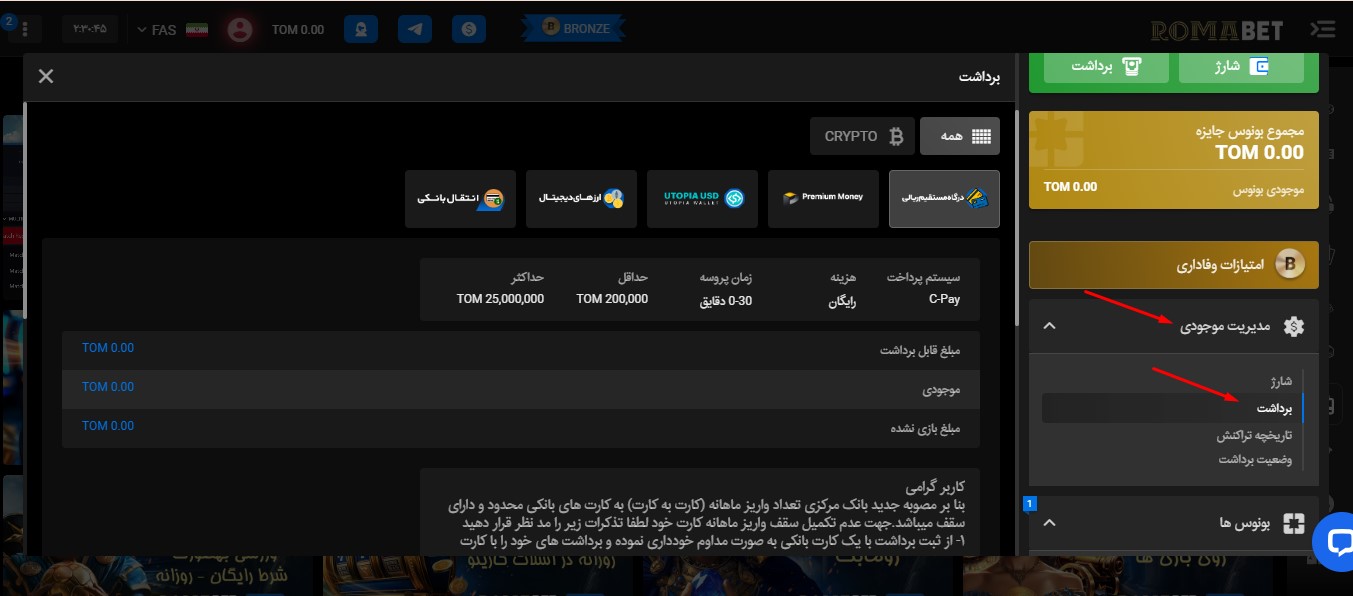 برداشت از Roma Bet